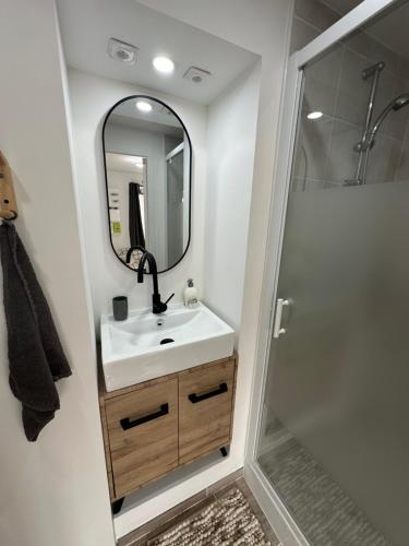 une salle de bain avec un lavabo et une douche dans l'établissement Belle Maison de ville neuve, à Angers