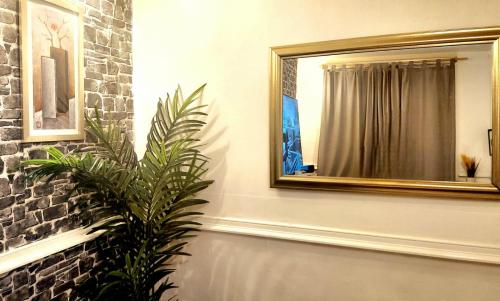 a mirror on a wall next to a plant at Luxury King-size Rm in Bolton