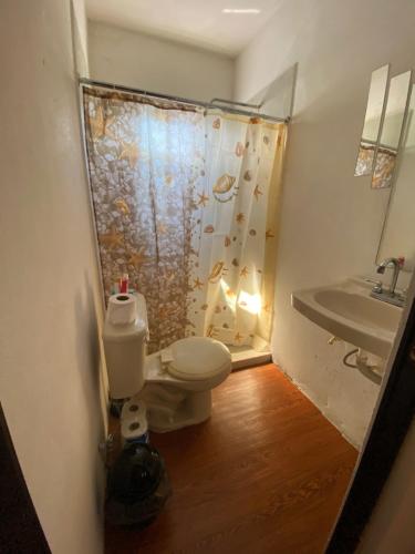 a bathroom with a toilet and a shower and a sink at Departamento acogedor segundo piso 2 recamaras in Monterrey