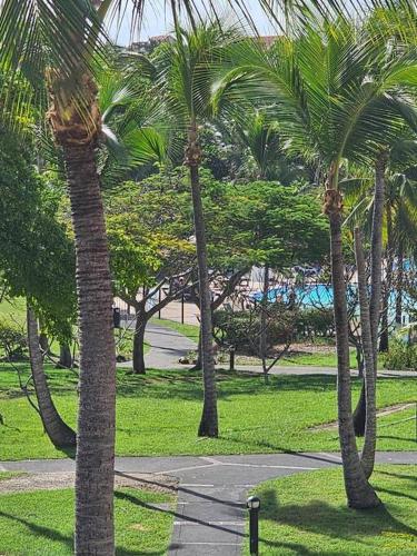 a group of palm trees in a park at studio La Cocoteraie, vue mer in Courcelles Sucrerie