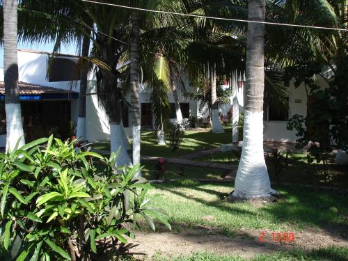 a group of palm trees in front of a house at BONITO APARTAMENTO RODEADO DE PALMERAS primer nivel in Barra de Navidad