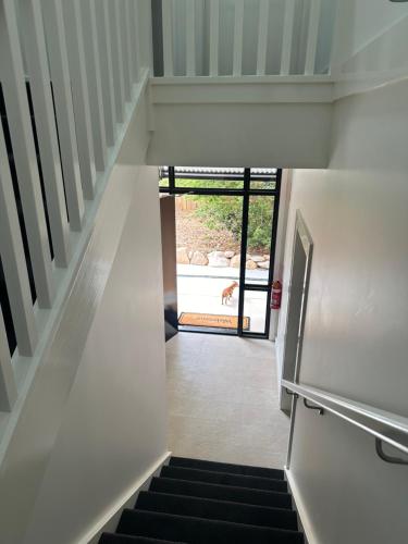 a hallway with stairs leading to a door with a dog at Fitzroy Inn Historic Retreat Mittagong in Mittagong