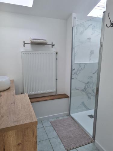 a bathroom with a shower and a sink at Les Hirondelles in Baguer-Pican