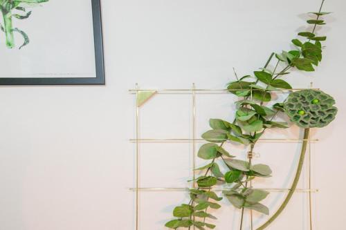 Fotografie z fotogalerie ubytování CLASSE CINQ v destinaci Sapporo