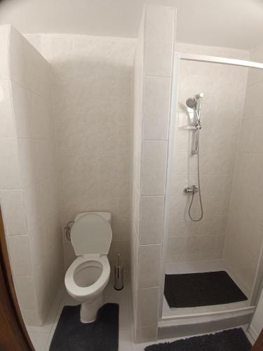 Koupelna v ubytování ApaHouse