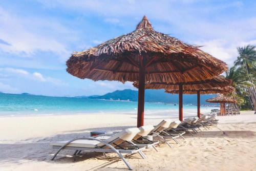 a group of chairs and umbrellas on a beach at TTC Van Phong Bay Resort - Himalaya Sauna & Steam Retreat Included in Ninh Hòa
