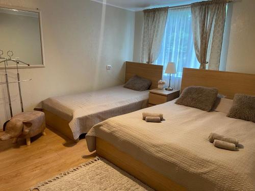 Postel nebo postele na pokoji v ubytování Privatus namelis Jūros g. 61