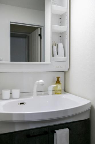 a bathroom with a white sink and a mirror at FC Farnest Niseko in Kutchan