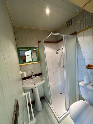 une salle de bain avec une douche, un lavabo et des toilettes dans l'établissement Studio 4p Louedza, à Pralognan-la-Vanoise