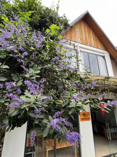 a bunch of purple flowers on the side of a house at ST Homestay Tản Lĩnh - Venuestay in Mỹ Khê