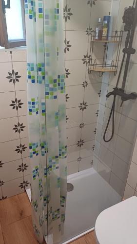 a shower with a glass door in a bathroom at Trempská Chalupa Aronie in Olešnice v Orlických horách