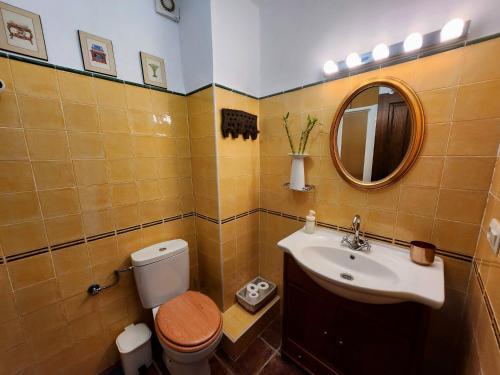 a bathroom with a toilet and a sink and a mirror at San Roque in Capileira