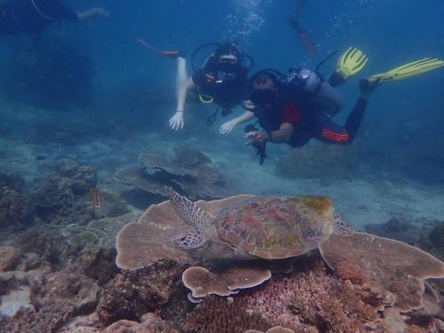 a sea turtle and two people in the ocean at Vacation Village Phra Nang Inn - SHA Extra Plus in Ao Nang Beach