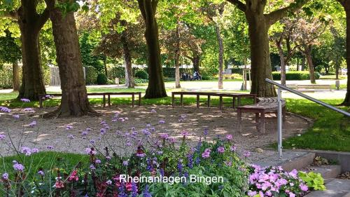 Ein Garten an der Unterkunft Ferienwohnung Aspisheim