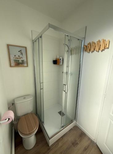 une cabine de douche dans une salle de bain avec toilettes dans l'établissement Cosy d'Opale, 4 pers, proche vielle ville, wifi, à Boulogne-sur-Mer