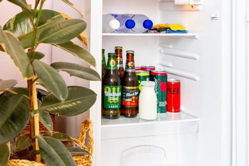 an open refrigerator filled with lots of beer bottles at Royal Boutique Hotel in Cape Town