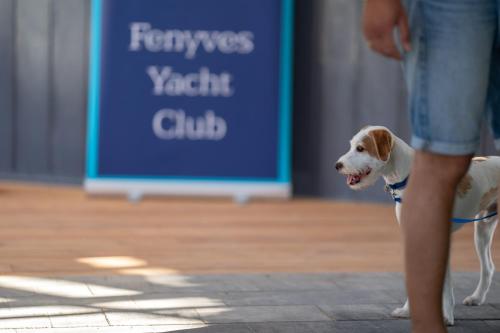 Gallery image of Fenyves Yacht Club Superior in Balatonfenyves