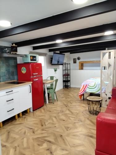 Kuchyň nebo kuchyňský kout v ubytování Loft Lisara
