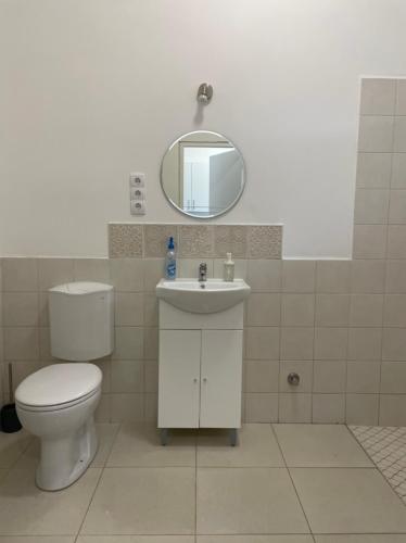 a bathroom with a toilet and a sink and a mirror at Kiss Vendégház 2-3 in Kaposvár