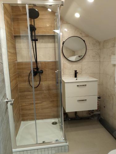 a shower stall with a sink and a mirror at Résidence Mirage avec vidéo surveillance in Albertville