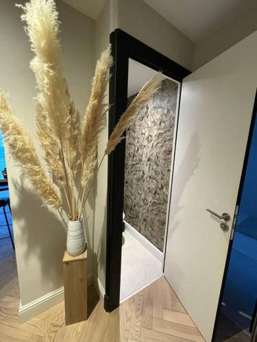 un couloir avec une porte avec un vase et un miroir dans l'établissement Appartement de standing à 2 pas de la gare, à Saint-Brieuc