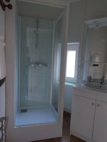 une douche en verre dans une salle de bain avec un lavabo dans l'établissement appartement Vallée d'Ossau, à Gère-Belesten