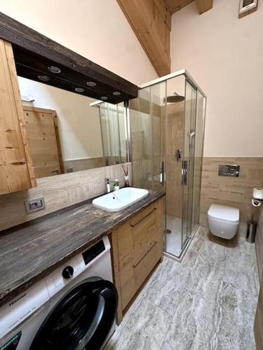 un bagno con lavandino e lavatrice di Attico Bellavista a Cortina dʼAmpezzo