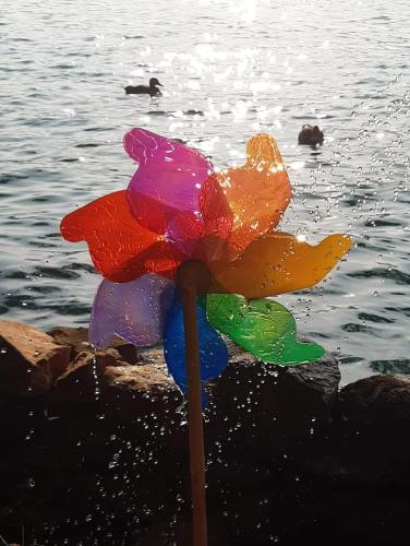 a colorful plastic flower on a stick in the water at Antica torre del castello Casa Ceresiana in Carabietta