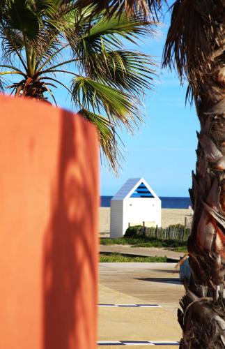 a palm tree and a white building on the beach at Chic Appartement 4 personnes in Port Leucate