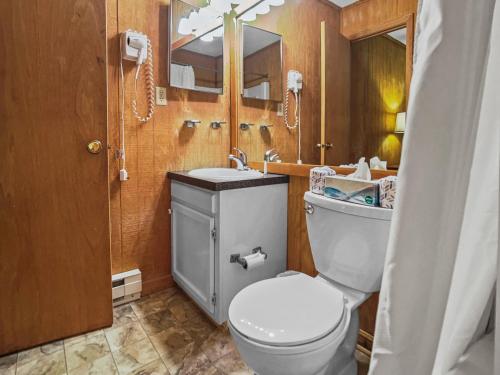 a bathroom with a toilet and a sink and a mirror at Leatherbark 103A 3BR 2BA Quiet And Serene Private Deck WiFi in Snowshoe