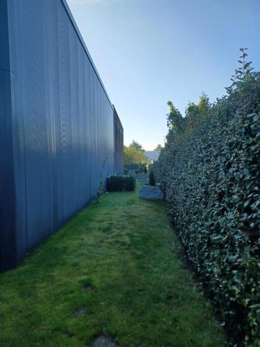 a garden with a fence and a green hedge at B & B Fish World in Vlissingen