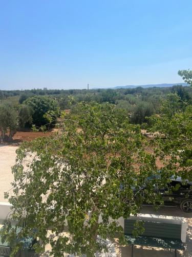a tree in a parking lot with a bench at Dimora NONNA CATERINA in Monopoli