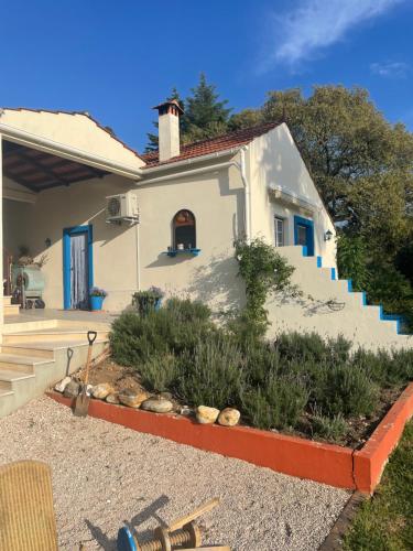 a white house with stairs and a yard at Quinta Inge in Paio Mendes
