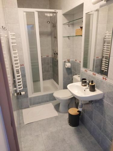 a bathroom with a toilet and a sink and a shower at Dom Wypoczynkowy Bajka in Krynica Zdrój