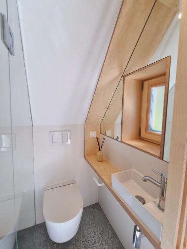 a bathroom with a toilet and a sink and a mirror at Willa Storczyk Asnyka Centrum in Zakopane