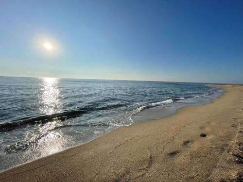 Photo de la galerie de l'établissement Le grand bleu-AU SOLEIL, au Barcarès