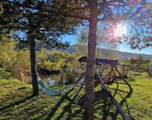 a hammock tied to a tree in a field at Casa de Munte in Vatra Dornei
