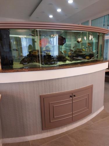 a fish tank on top of a counter at Hotel Atrium in Malacky