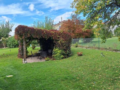 a gazebo covered in ivy in a yard at Ferienwohnungen Knaus in Lam