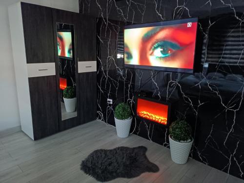 TV a/nebo společenská místnost v ubytování Stan u centru