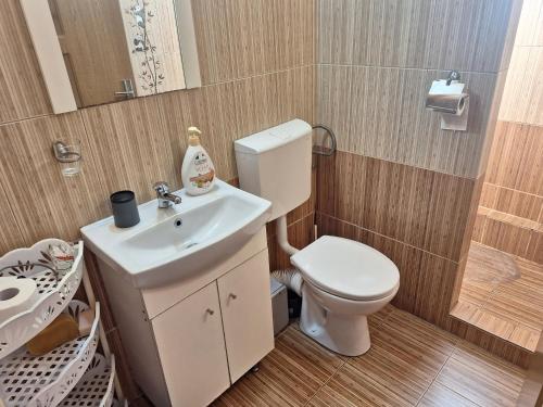 a small bathroom with a toilet and a sink at Panoramic Apartment in Târgu-Mureş