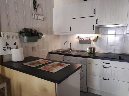 Kuchyň nebo kuchyňský kout v ubytování Apartamento IZAS Canfranc