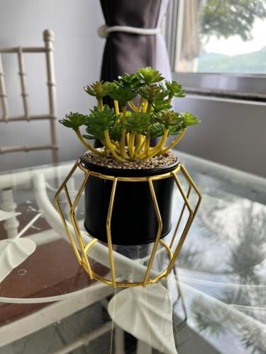 a plant on a gold stand on a table at I - scape in Subic