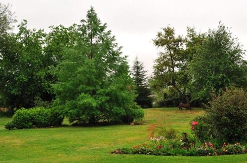 a park with a bench and trees and green grass at Finca Cielo Verde in Chicoana