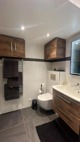 une salle de bain avec toilettes et lavabo dans l'établissement Studio aux pieds des vignes, à Eguisheim
