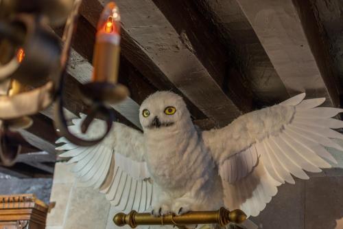 Fotografia z galérie ubytovania Sorcier Magique & Expérience Immersive v destinácii Caen