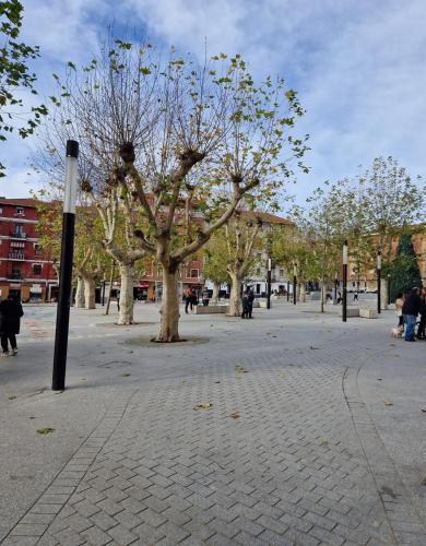 BOREAL nuevo apartamento
