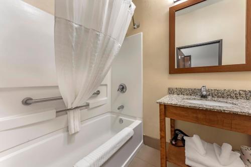 une salle de bain avec une baignoire et un lavabo dans l'établissement Comfort Inn & Suites Streetsboro - Kent, à Streetsboro