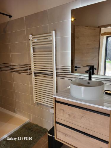 une salle de bain avec un lavabo et un miroir dans l'établissement Les gîtes du Champ Neuf La grange du Papé, à Saint-Julien-des-Points