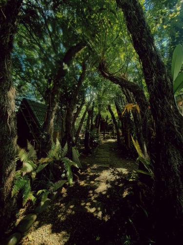 a path through a forest with trees and plants at tropical garden homestay in Lien Khuong Airport